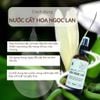 Nước cất Hoa Ngọc Lan