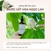 Nước cất Hoa Ngọc Lan
