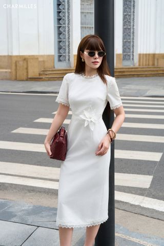 Đầm TC gấu, eo, cổ zen (H)
