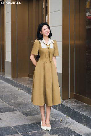 Đầm xoè , phối cổ 2 ve