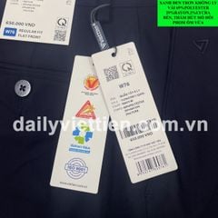 Quần tây Xanh Đen Việt Tiến số 964 không ly phom ôm Regular Fit