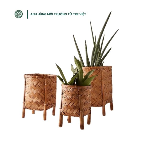  Chậu tre trồng cây phong cách tối giản | Minimalist-style Bamboo Planter 