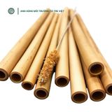  Ống hút bằng tre | Bamboo Straws 