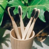 Bàn chải đánh răng bằng tre | Bamboo Toothbrush 