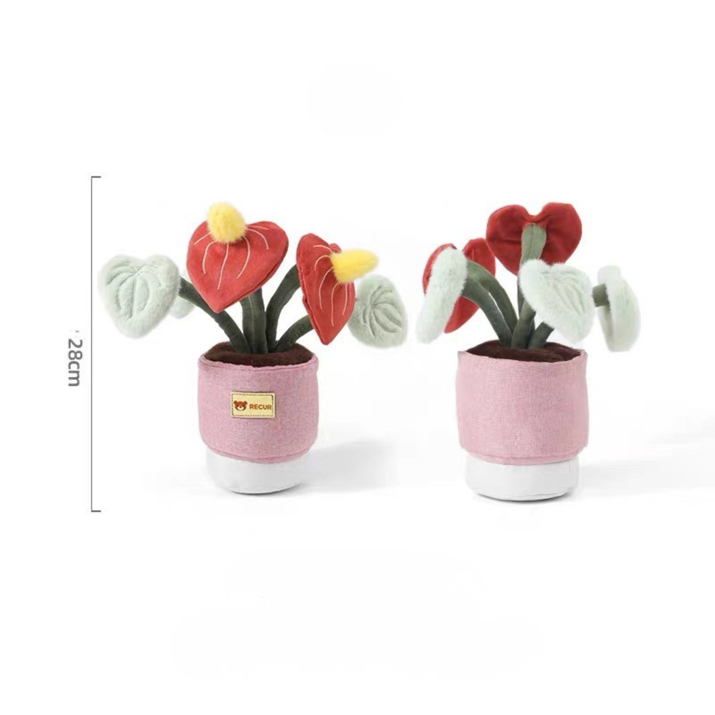Recur - Cây hoa nhồi bông Anthurium (Có Hương Thơm)