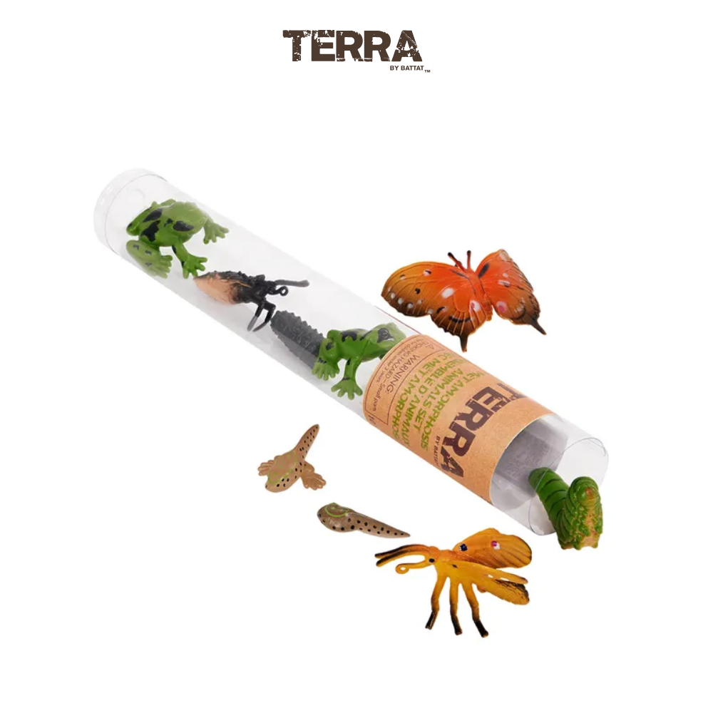 Terra - Ống Động vật biến hoá nhỏ