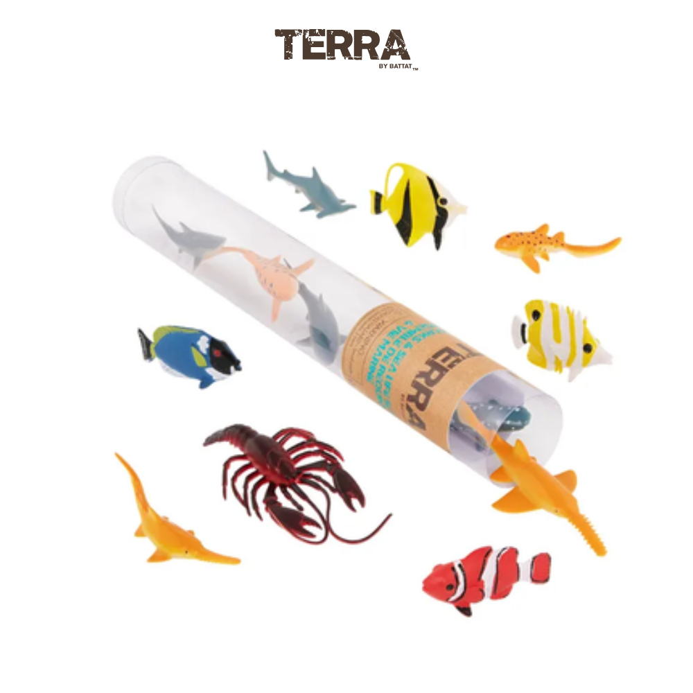 Terra - Ống Động vật biển nhỏ
