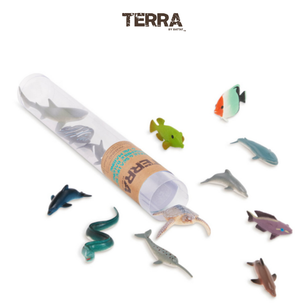 Terra - Ống Động vật biển nhỏ