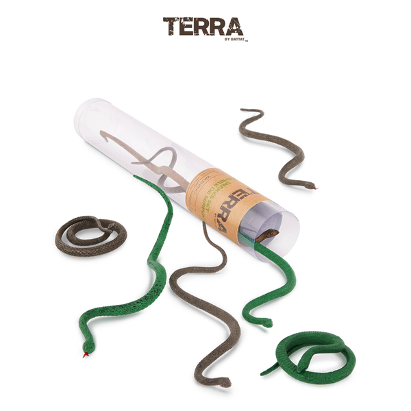 Terra - Ống Rắn nhỏ