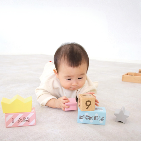 Geni - Bộ đồ chơi các khối gỗ (Memory Biscuits)