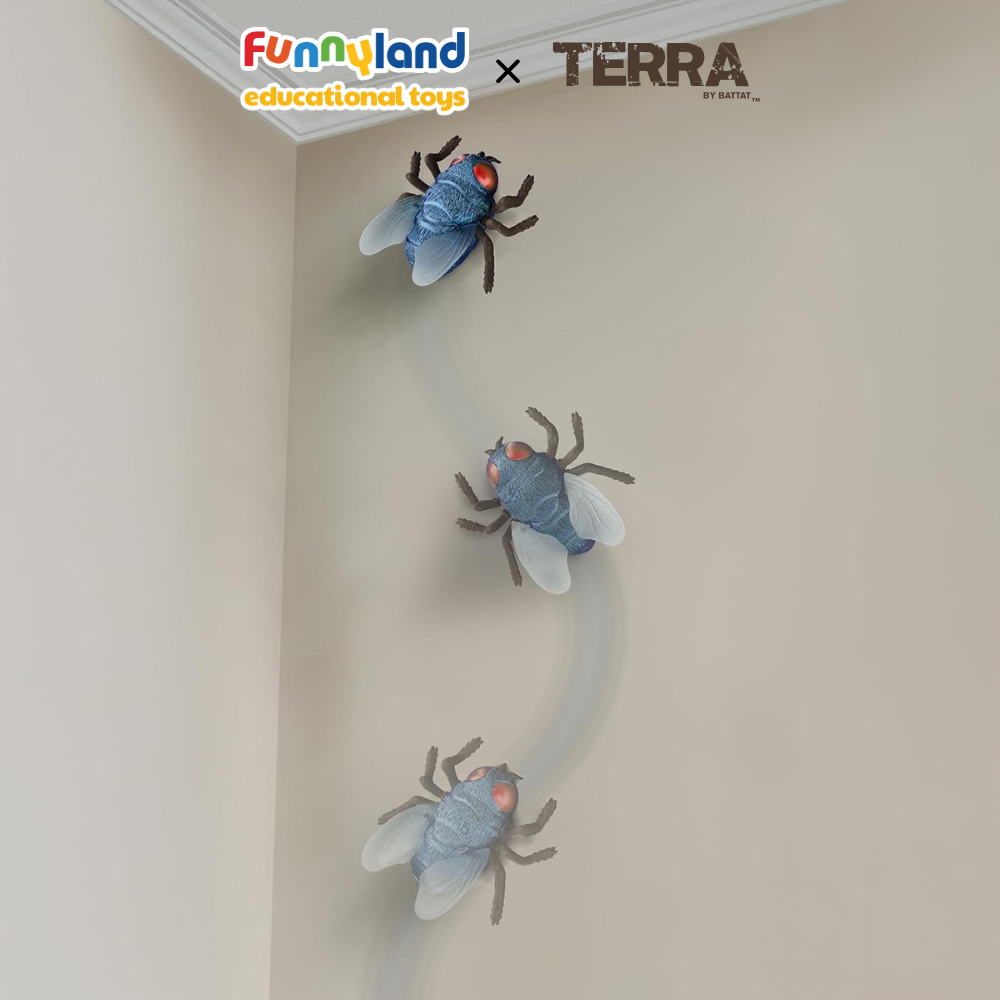 Terra - Ruồi xanh bò trên tường điều khiển từ xa