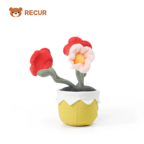 Recur - Cây hoa nhồi bông Corn Poppy (Có Hương Thơm)