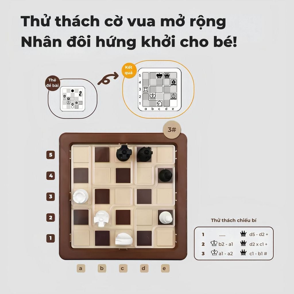 SmartGames - Thử thách Chess Peace