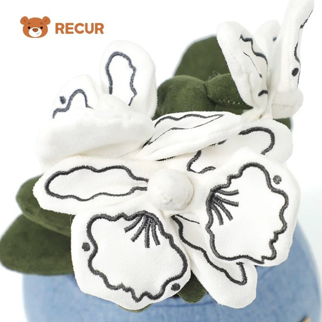 Recur - Cây hoa nhồi bông Moth Orchid (Có Hương Thơm)