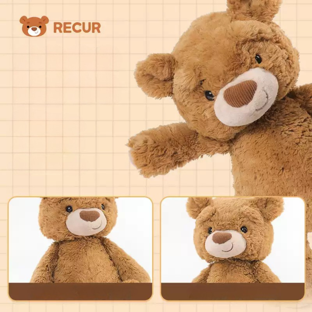 Recur - Thú bông RC Dream Bear (M)