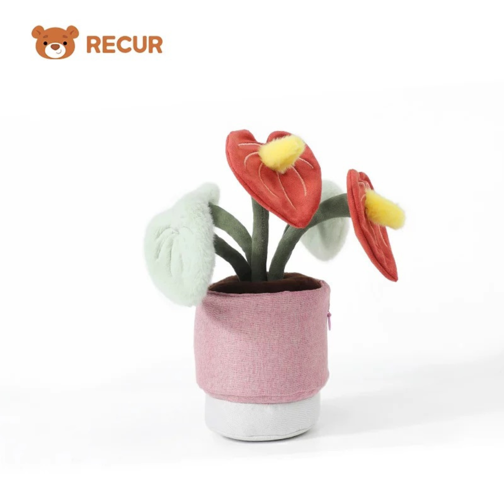 Recur - Cây hoa nhồi bông Anthurium (Có Hương Thơm)