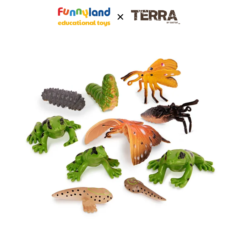 Terra - Ống Động vật biến hoá nhỏ