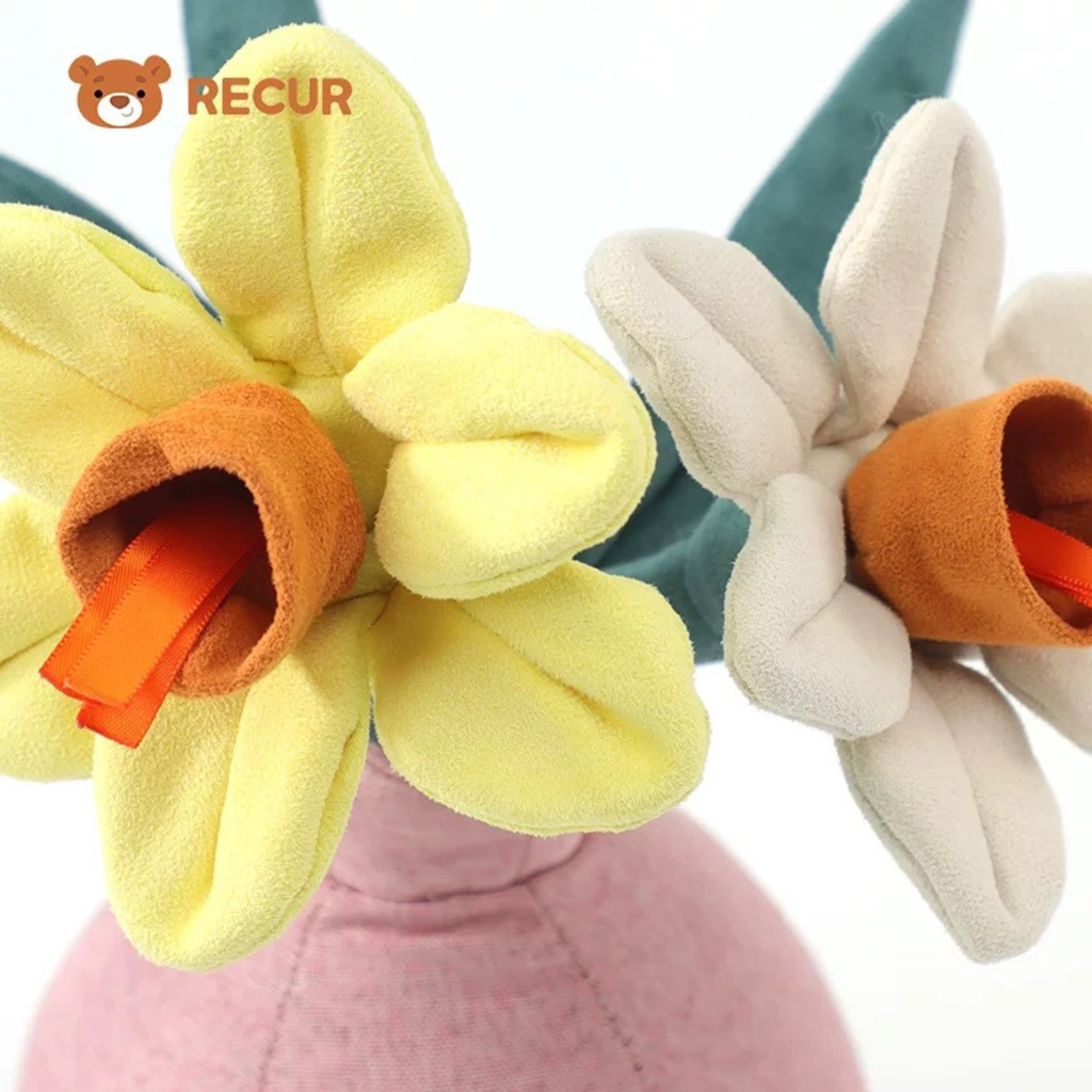 Recur - Cây hoa nhồi bông Daffodil (Có Hương Thơm)