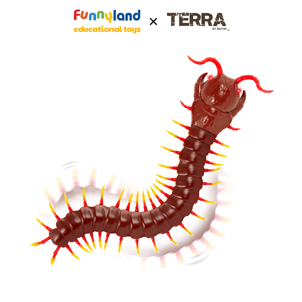 Terra - Rết điều khiển từ xa