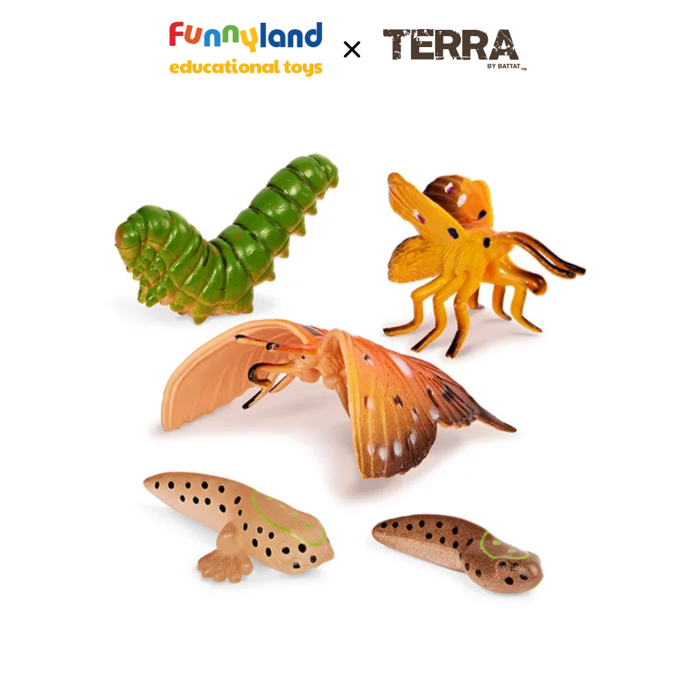 Terra - Ống Động vật biến hoá nhỏ