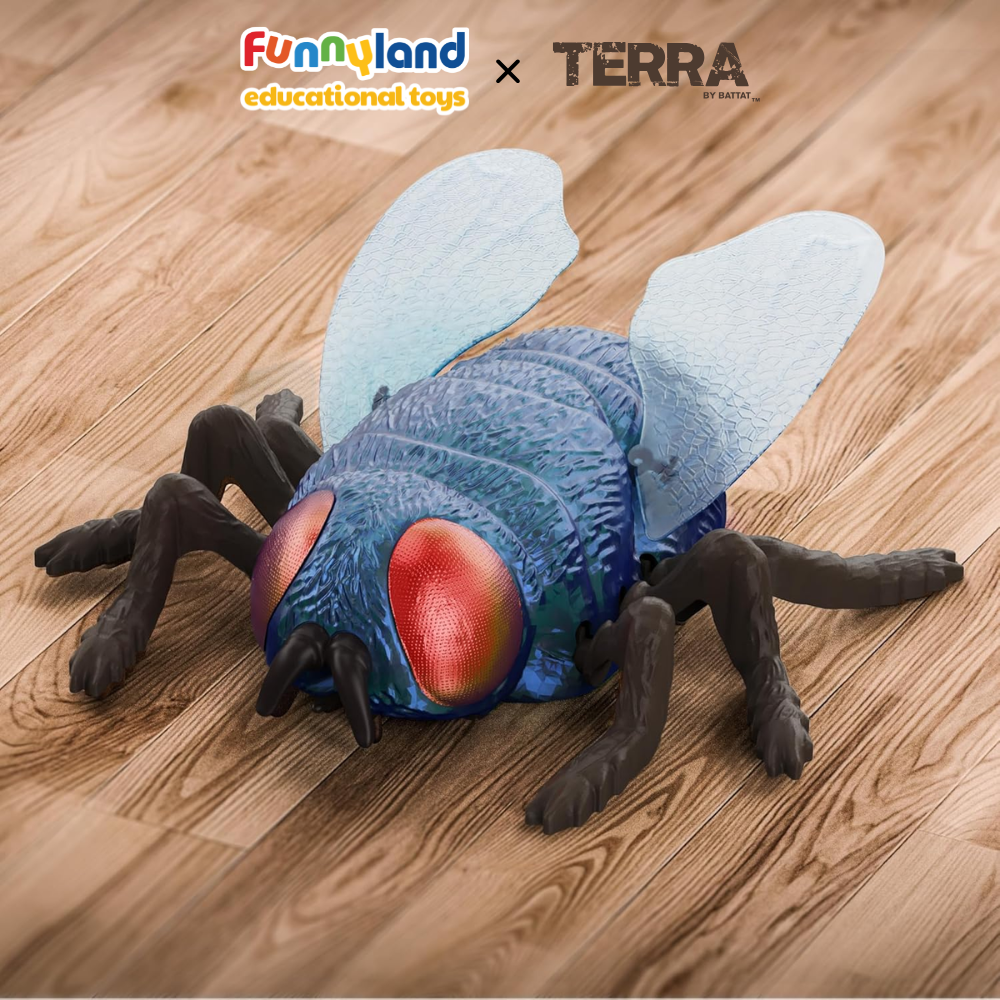 Terra - Ruồi xanh bò trên tường điều khiển từ xa