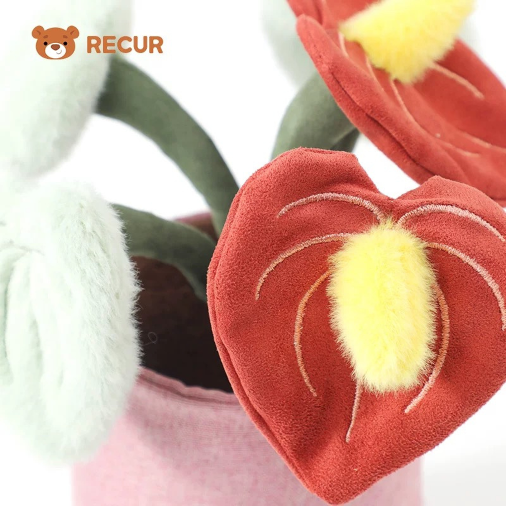 Recur - Cây hoa nhồi bông Anthurium (Có Hương Thơm)