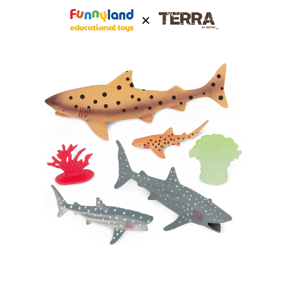 Terra - Thế giới Đại dương