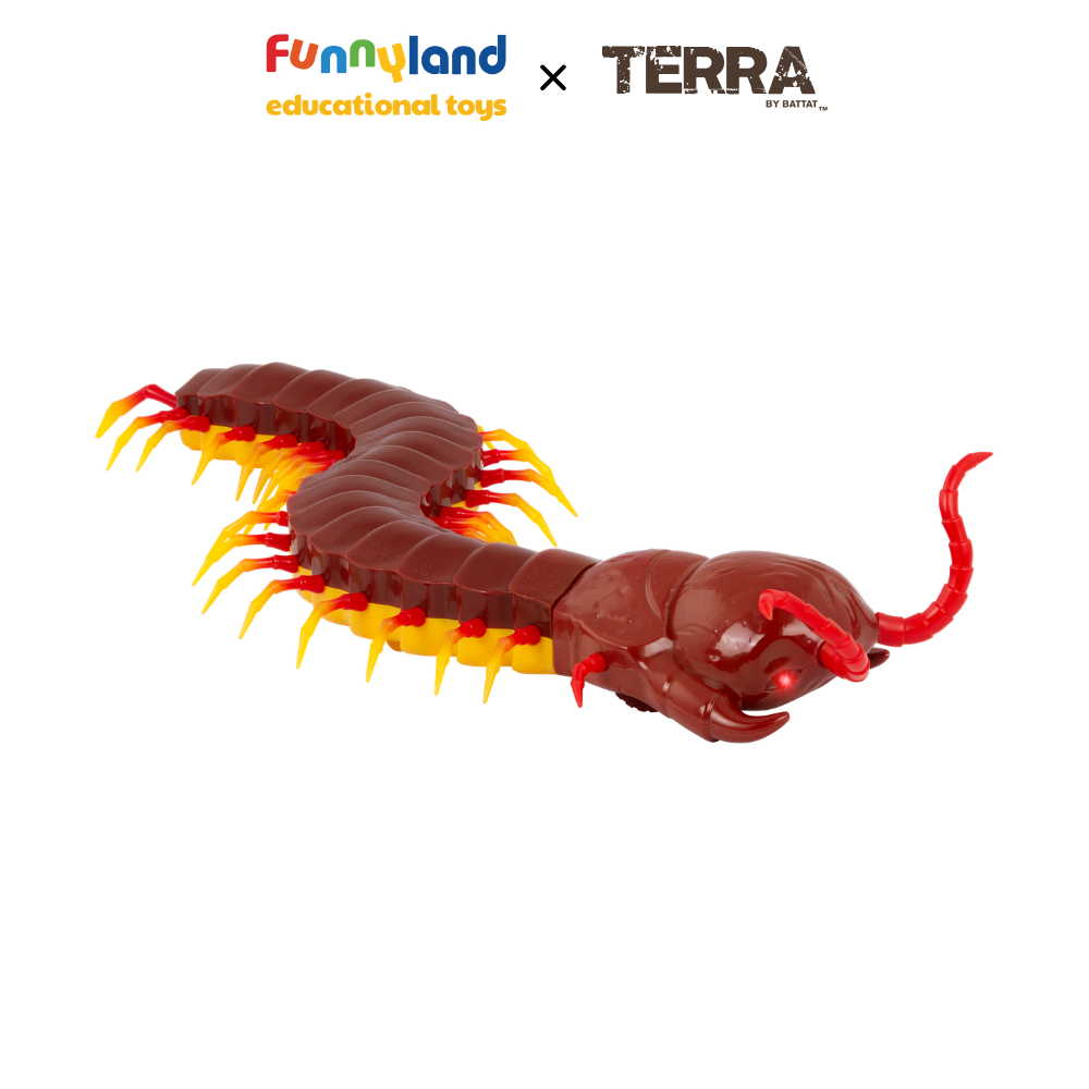 Terra - Rết điều khiển từ xa