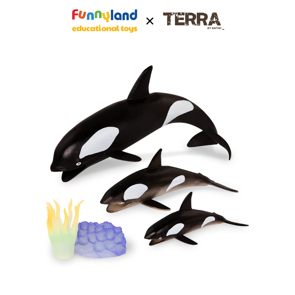 Terra - Thế giới Đại dương