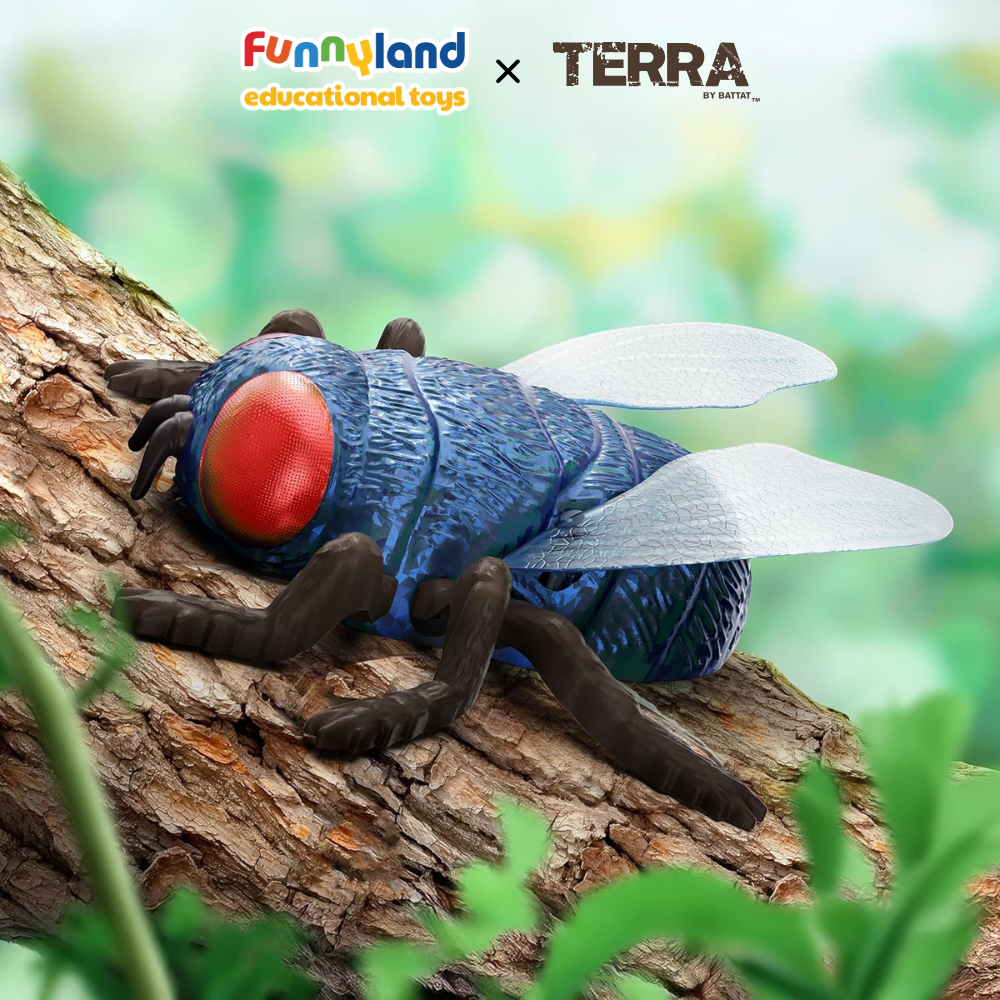Terra - Ruồi xanh bò trên tường điều khiển từ xa