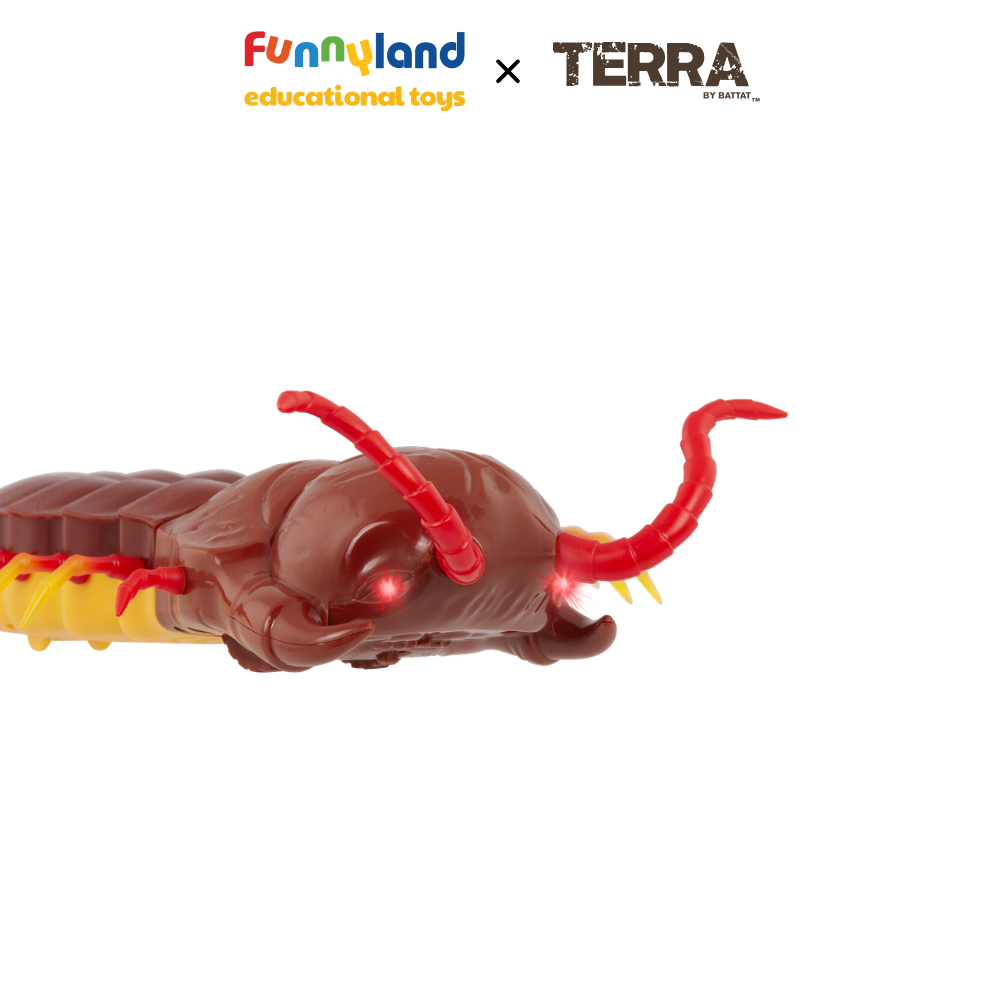 Terra - Rết điều khiển từ xa