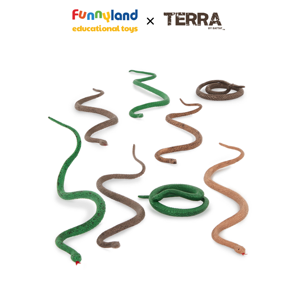 Terra - Ống Rắn nhỏ