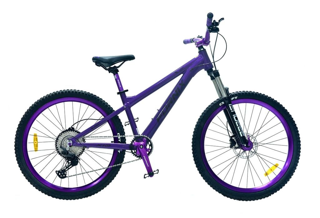 XE ĐẠP ĐỊA HÌNH FORNIX X12-V11