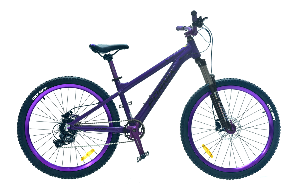 XE ĐẠP ĐỊA HÌNH FORNIX X12-V8