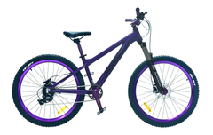 XE ĐẠP ĐỊA HÌNH FORNIX X12-V8