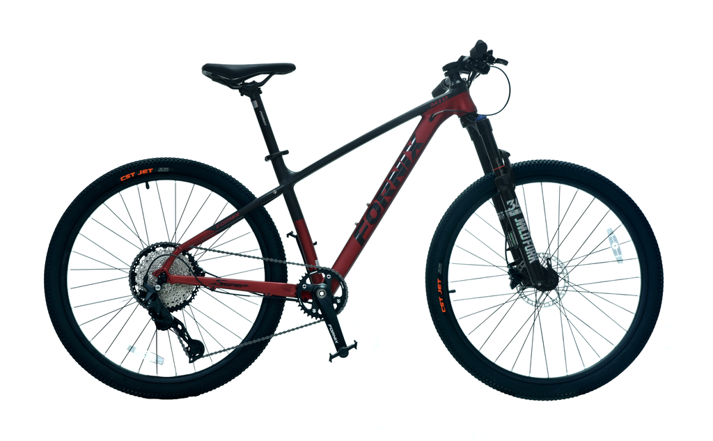 XE ĐẠP ĐỊA HÌNH FORNIX M10