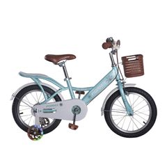 XE ĐẠP TRẺ EM FORNIX ALS16