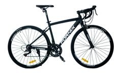 XE ĐẠP ĐUA FORNIX FR100