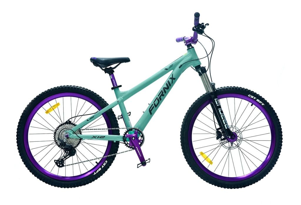 XE ĐẠP ĐỊA HÌNH FORNIX X12-V11