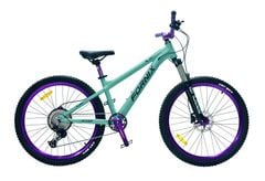 XE ĐẠP ĐỊA HÌNH FORNIX X12-V11