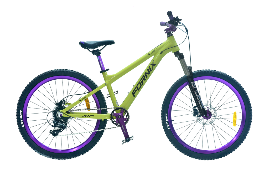 XE ĐẠP ĐỊA HÌNH FORNIX X12-V8