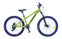 XE ĐẠP ĐỊA HÌNH FORNIX X12-V8