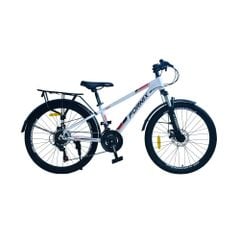 XE ĐẠP ĐỊA HÌNH FORNIX FM24