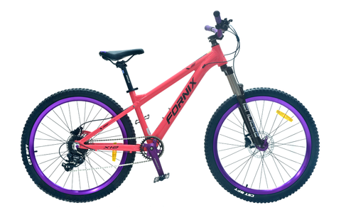 XE ĐẠP ĐỊA HÌNH FORNIX X12-V8