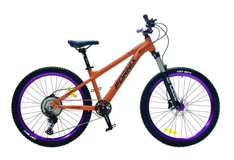 XE ĐẠP ĐỊA HÌNH FORNIX X12-V11