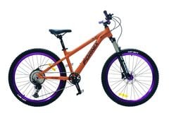 XE ĐẠP ĐỊA HÌNH FORNIX X12-V11