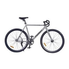 XE ĐẠP FIXED GEAR FORNIX BF300