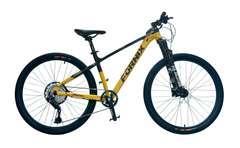 XE ĐẠP ĐỊA HÌNH FORNIX M10