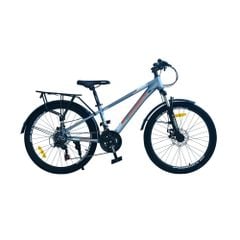 XE ĐẠP ĐỊA HÌNH FORNIX FM24