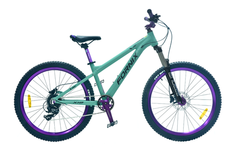 XE ĐẠP ĐỊA HÌNH FORNIX X12-V8